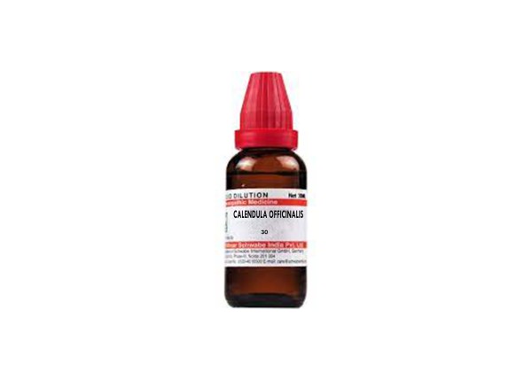 CALENDULA OFFICINALIS